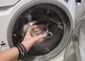 Damit entfernen Sie den gesamten Schmutz aus der Waschmaschine: So sauber war sie noch nie