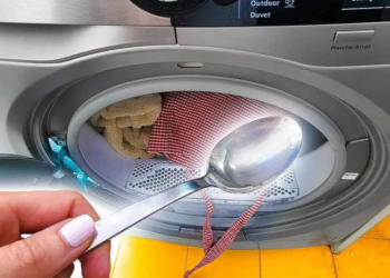 Ihre Wäsche riecht lange gut- Geben Sie einfach einen natürlichen Inhaltsstoff in die Waschmaschine