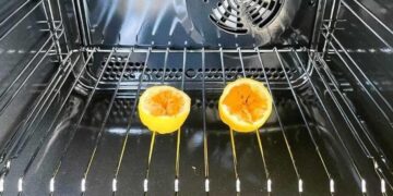 6 Tipps, um Mücken vom Haus fernzuhalten: Sie trauen sich nicht zurück