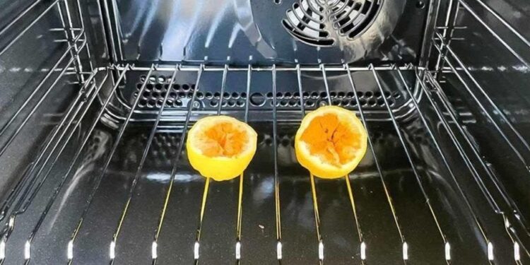 6 Tipps, um Mücken vom Haus fernzuhalten: Sie trauen sich nicht zurück