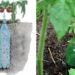 So machen Sie eine automatische Tomatenbewässerung mit einer Flasche!