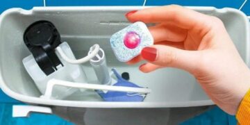 Das Badezimmer wird eine Woche lang duften: Alle Ihre Gäste werden das Geheimnis erfahren wollen