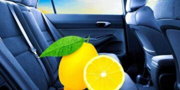 Lassen Sie Zitrone immer im Auto: Das kann Ihnen ein großes Problem ersparen
