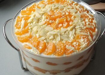 Mandarinentiramisu nach meinem eigenen Rezept
