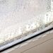 Warum schwitzen Fenster im Winter: Hier ist der Grund