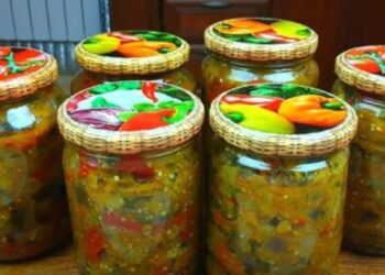 Ein einfaches bewährtes Rezept für einen Lecker Salat für den Winter!
