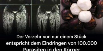 Jeden Tag konsumieren wir scheinbar harmlose Nahrungsmittel, die in Wirklichkeit jedoch potenziell gefährliche mikroskopische Parasiten beherbergen können.