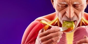 Wenn Sie über 70 Jahre alt sind, sind diese 8 Lebensmittel für Ihre Ernährung unerlässlich