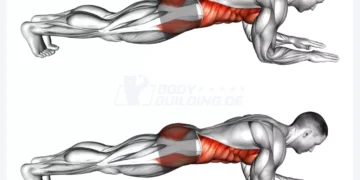 Die Wissenschaft erklärt, was mit deinem Körper passiert, wenn du jeden Tag Planks machst