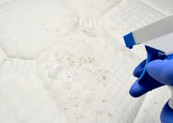 So reinigen Sie die Matratze und machen sie mit diesen Tipps tadellos