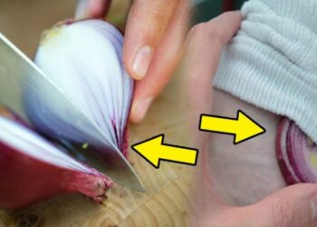 Warum du mit einer zwiebel in deinen socken schlafen solltest