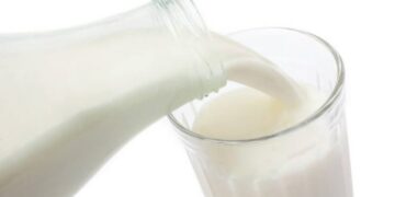 Milch kann krank machen