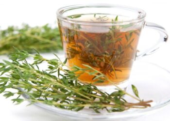 Thymian Stream verbrennt und schwächt das Körperfett!