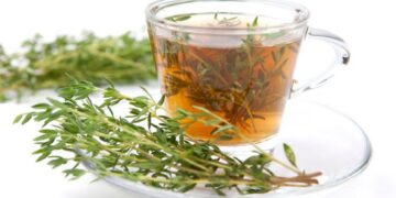 Thymian Stream verbrennt und schwächt das Körperfett!