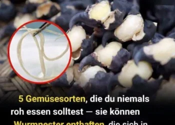 5 Gemüsesorten, die du niemals roh essen solltest – sie können Wurmnester enthalten, die sich in deinem Magen zu Parasiten entwickeln können