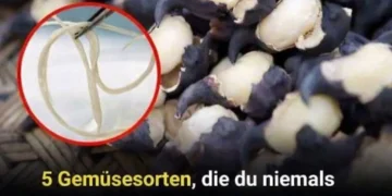 5 Gemüsesorten, die du niemals roh essen solltest – sie können Wurmnester enthalten, die sich in deinem Magen zu Parasiten entwickeln können