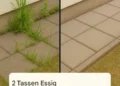 Einfaches Hausmittel gegen Unkraut – so stellen Sie es selbst her