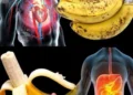Wusstest du, dass der Verzehr von Bananen erhöht …