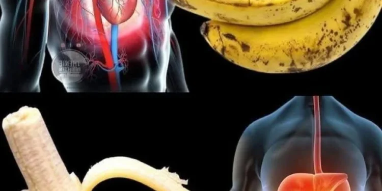 Wusstest du, dass der Verzehr von Bananen erhöht …
