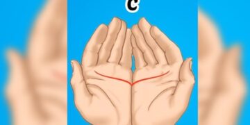 Halte deine Handflächen einmal nebeneinander und achte auf DIESES kleine Detail!
