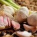 Er aß 6 gebratene Knoblauchzehen mit Gewürznelken. DAS geschah in den nächsten 24 Stunden mit seinem Körper!