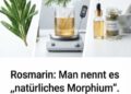 Rosmarin (Rosmarinus officinalis): Die aromatische Heilpflanze mit langer Tradition für Wohlbefinden und natürliche Unterstützung
