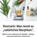 Rosmarin (Rosmarinus officinalis): Die aromatische Heilpflanze mit langer Tradition für Wohlbefinden und natürliche Unterstützung